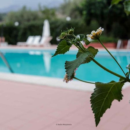 קמפופליצ'ה די רוצ'לה Il Casale Il Sole E La Margherita מראה חיצוני תמונה