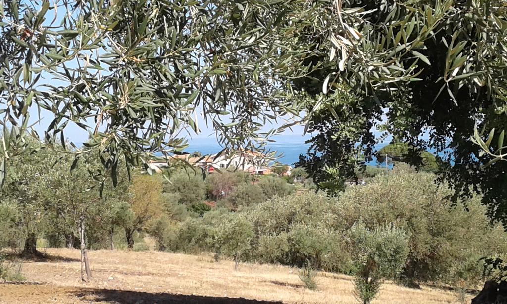 קמפופליצ'ה די רוצ'לה Il Casale Il Sole E La Margherita מראה חיצוני תמונה